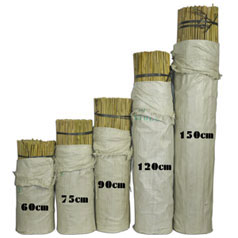 Tuteurs Bambou naturel
